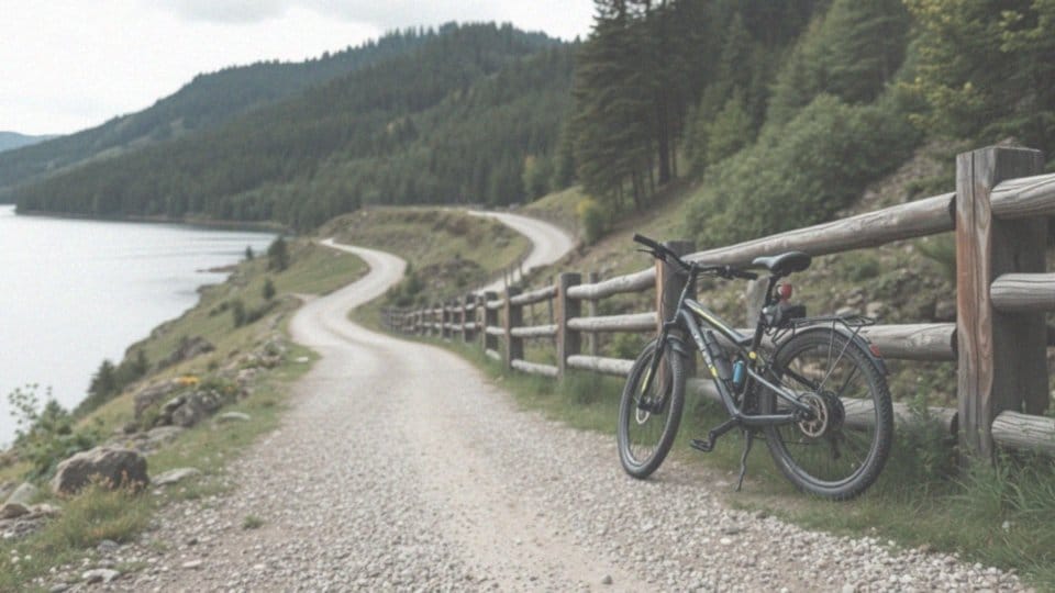 Jakie trasy rowerowe dostępne są w gminie Solina?