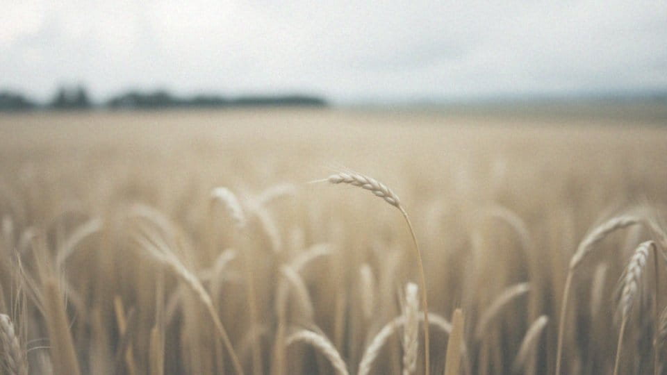 Częste gazy rak jelita grubego – czy to może być objaw nowotworu?