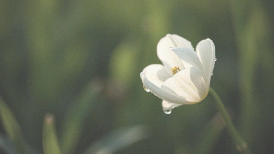 Ile dni po stosunku dochodzi do zapłodnienia? Kluczowe informacje