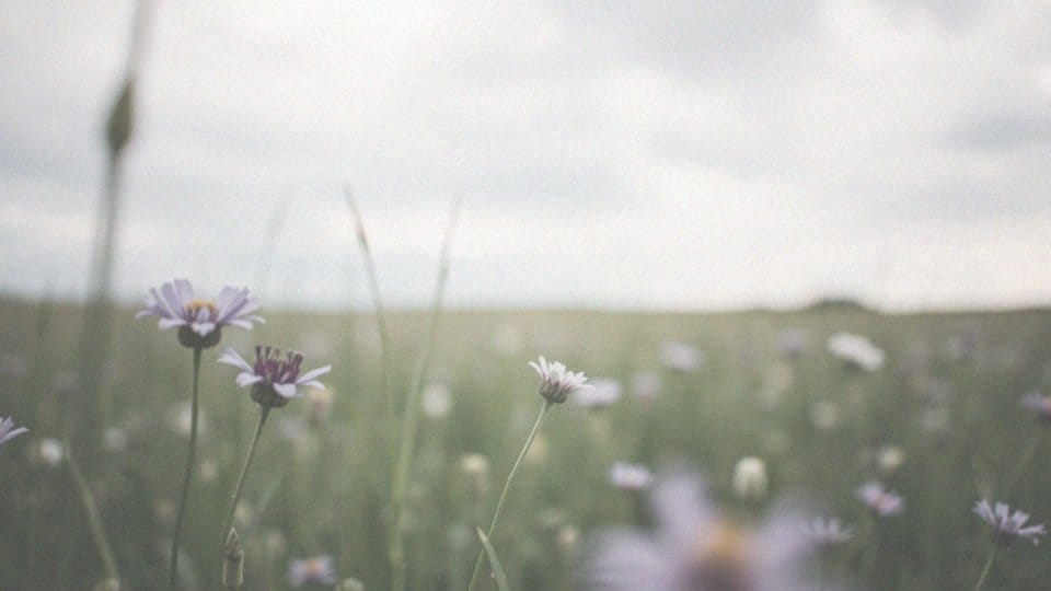 Skracanie szyjki macicy w ciąży – zalecenia i kluczowe informacje