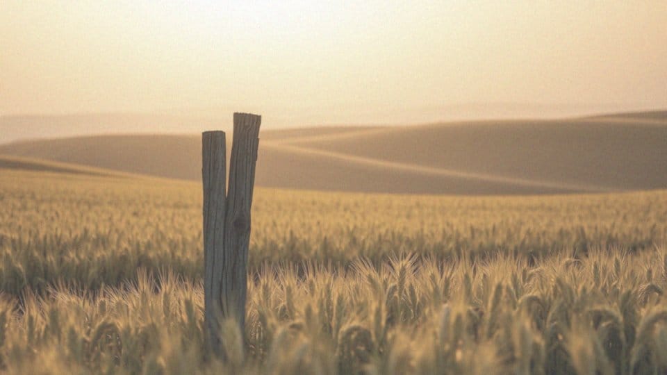 Wyleczyłam raka jelita grubego – historia, objawy i metody leczenia